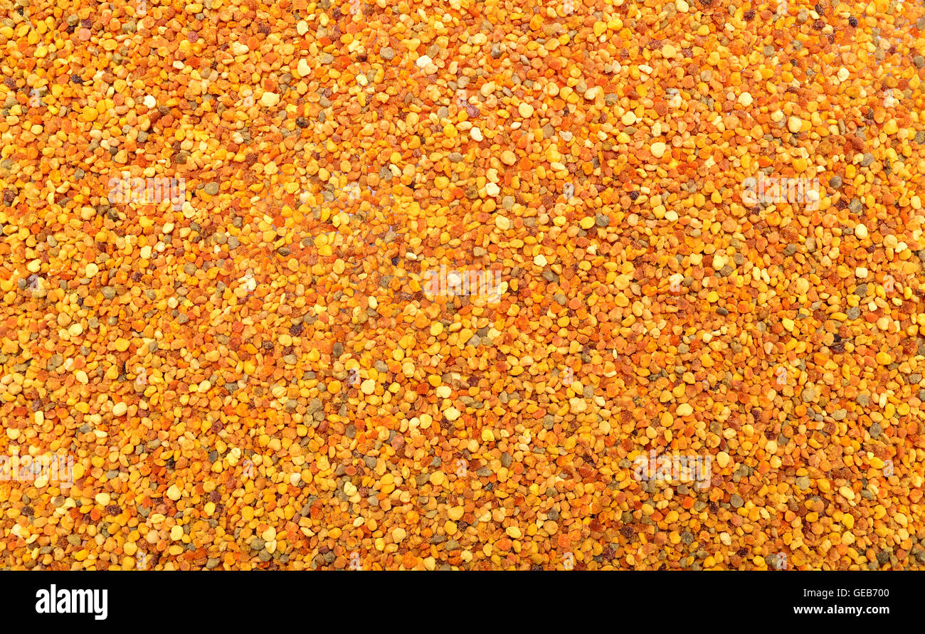 Los granos de polen de plantas de la colmena de abejas patrón de textura Foto de stock