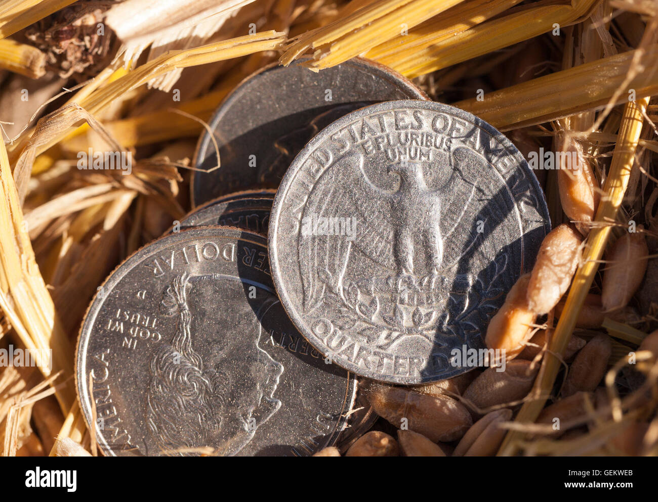 Moneda en el suelo Foto de stock