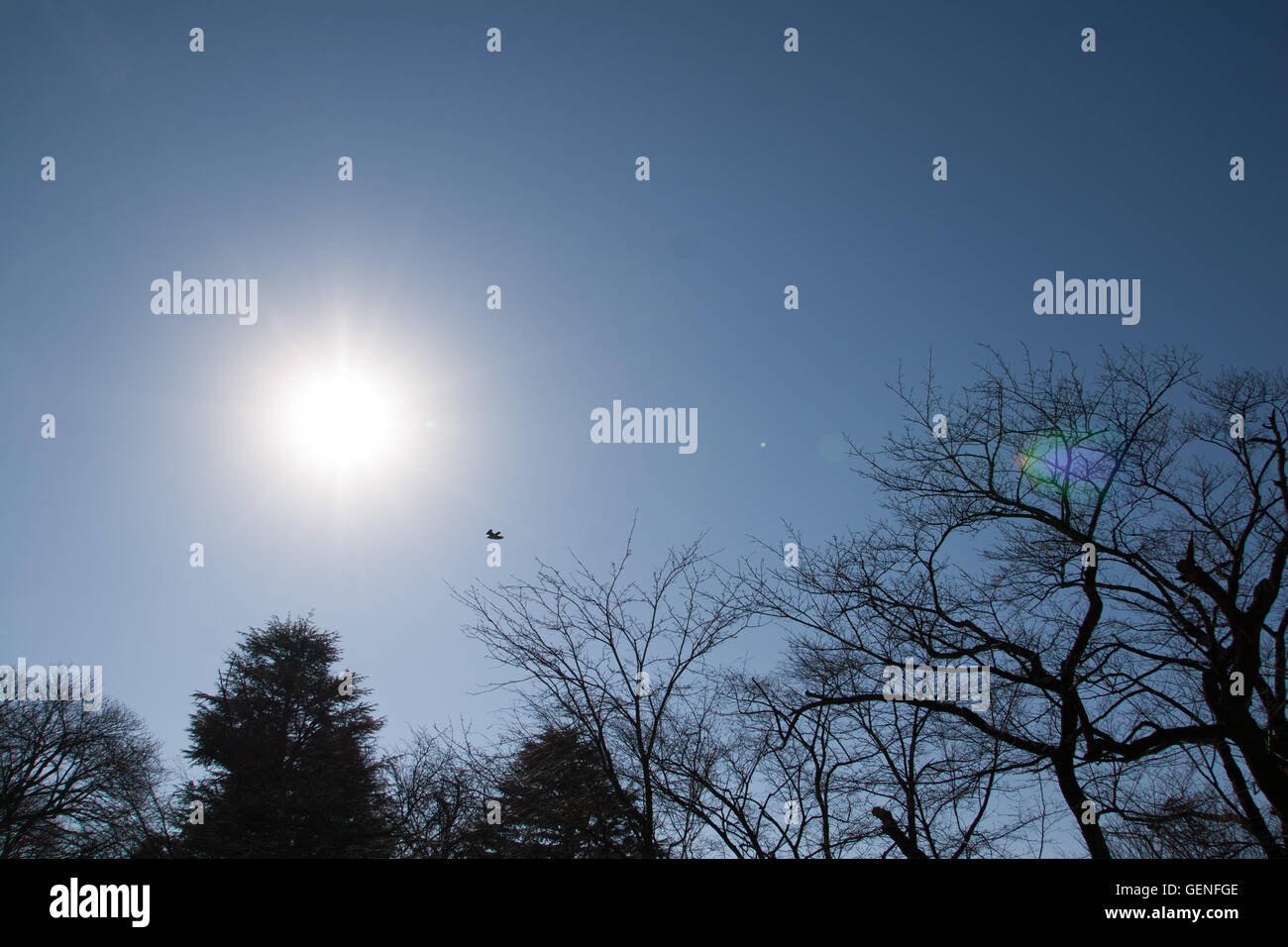 Atmósfera oscura daydream como imagen Foto de stock