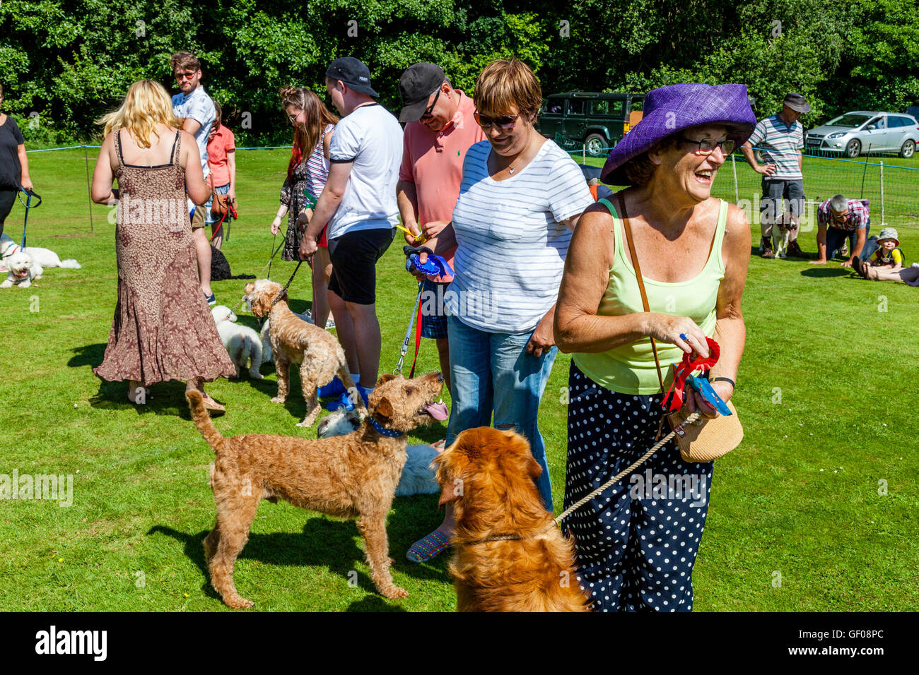 Los dueños de los perros están dados ganadores rosetas por un juez al final de la Exposición Canina, Withyham Fete, Withyham, Sussex, Reino Unido Foto de stock