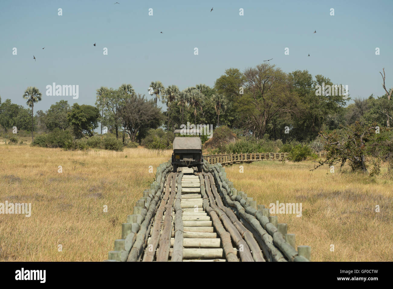 Puente de registro en el Delta del Okavango cerca Mombo camp Foto de stock