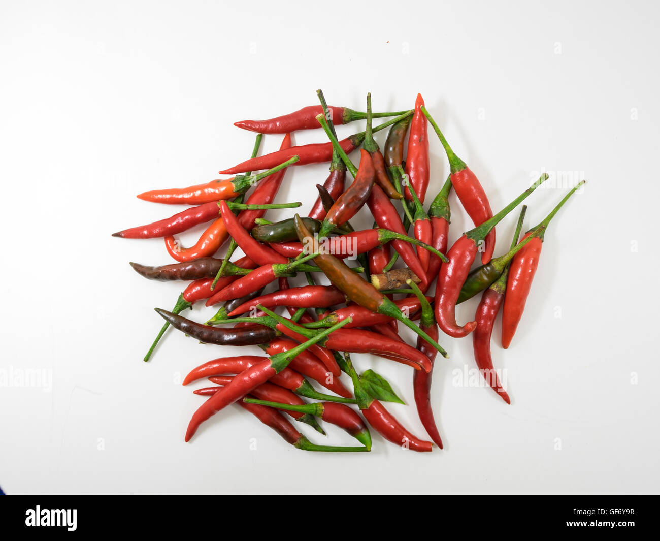 Chili alimentos plantas medicinales hierbas ingrediente sazonador sabor picante de la pimienta de Guinea Foto de stock