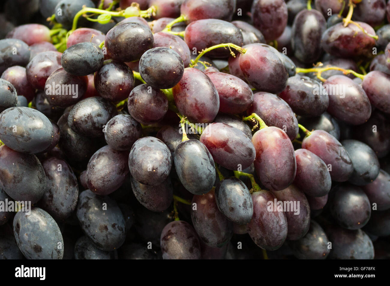 Montón de uvas azules - cluster de uvas rojas Foto de stock