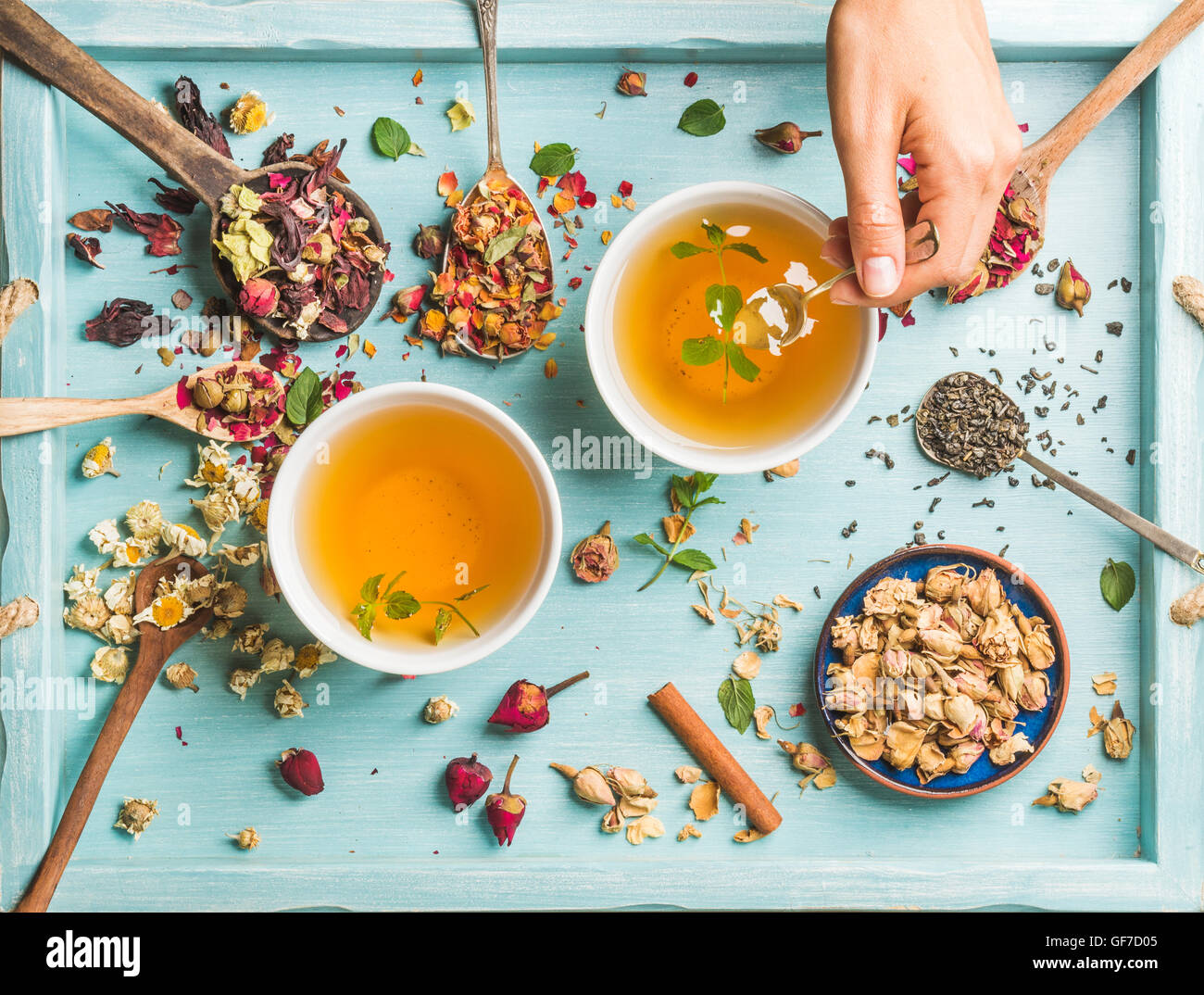 Dos tazas de té de hierbas saludables con menta, canela, rosa, flores secas de manzanilla en las cucharas y la mano del hombre sujetando una cuchara Foto de stock