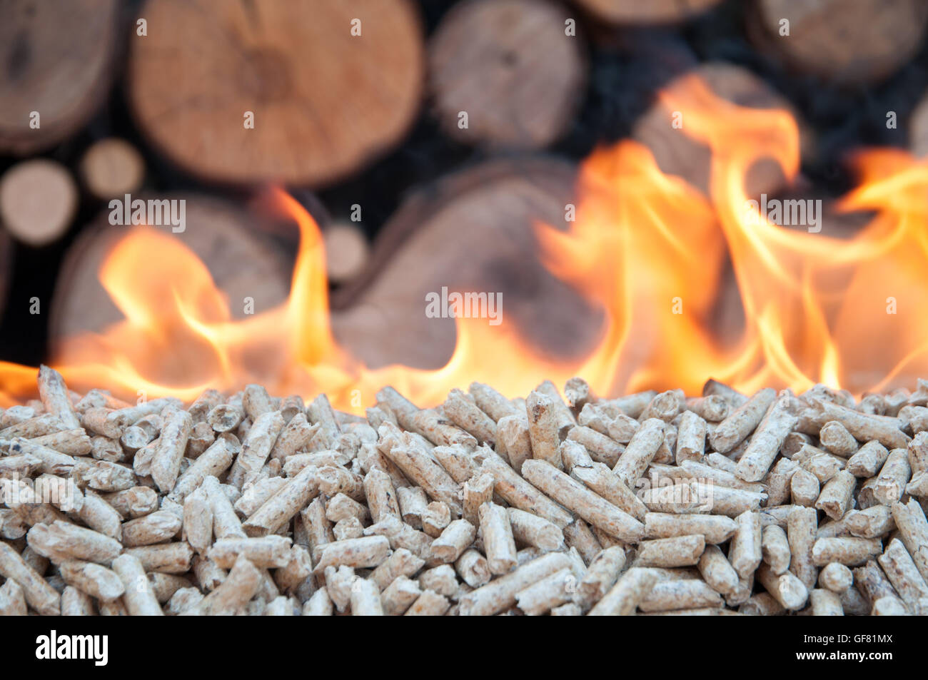 Quema de pellets de roble- la biomasa, la energía renovable Foto de stock