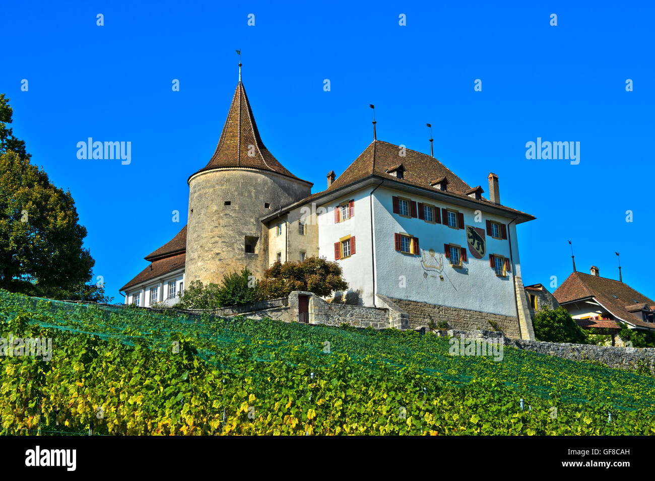 Castillo de Erlach, municipio de Erlach, Cantón de Berna, Suiza Foto de stock