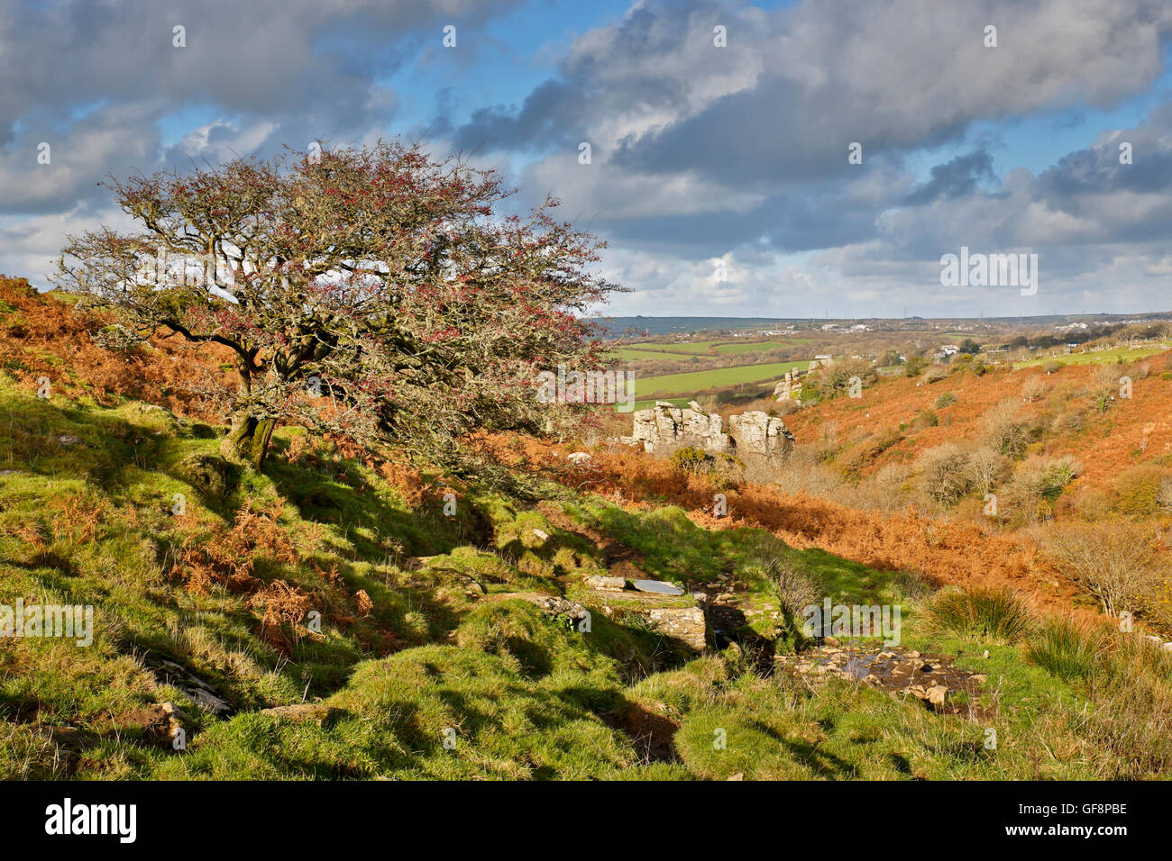 Devil's Leap; Bodmin Moor, Cornwall, Reino Unido Foto de stock