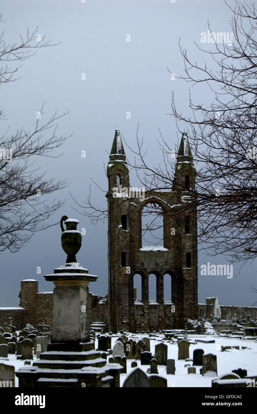 Ruinas de la Catedral de St Andrews en la nieve, St Andrews, Escocia Foto de stock