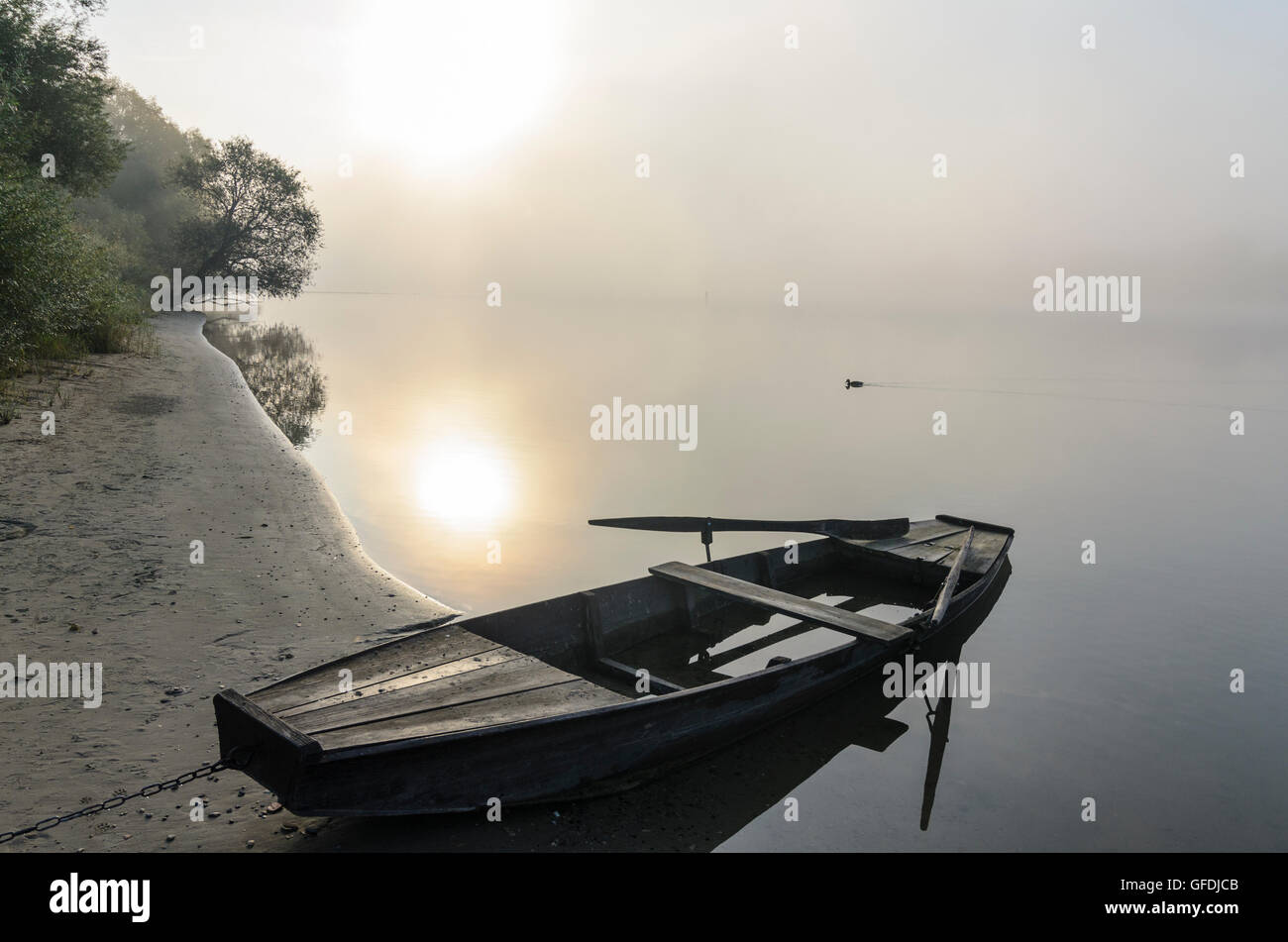 Mariaposching: leaky botes en el Danubio en la niebla de la mañana, Alemania, Bayern, Baviera, Niederbayern, Baja Baviera Foto de stock