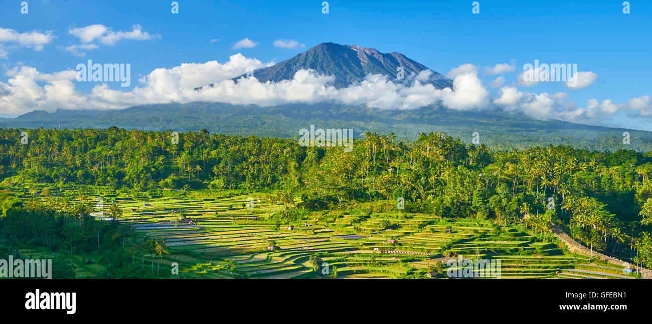 Panorámica del Volcán Gunung Agung y terraza de campos de arroz, Bali, Indonesia Foto de stock