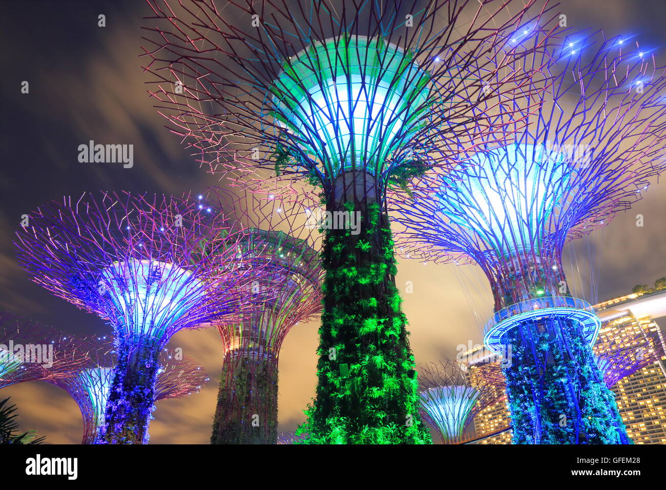 Jardines junto a la bahía Supertree Grove en Singapur. Foto de stock