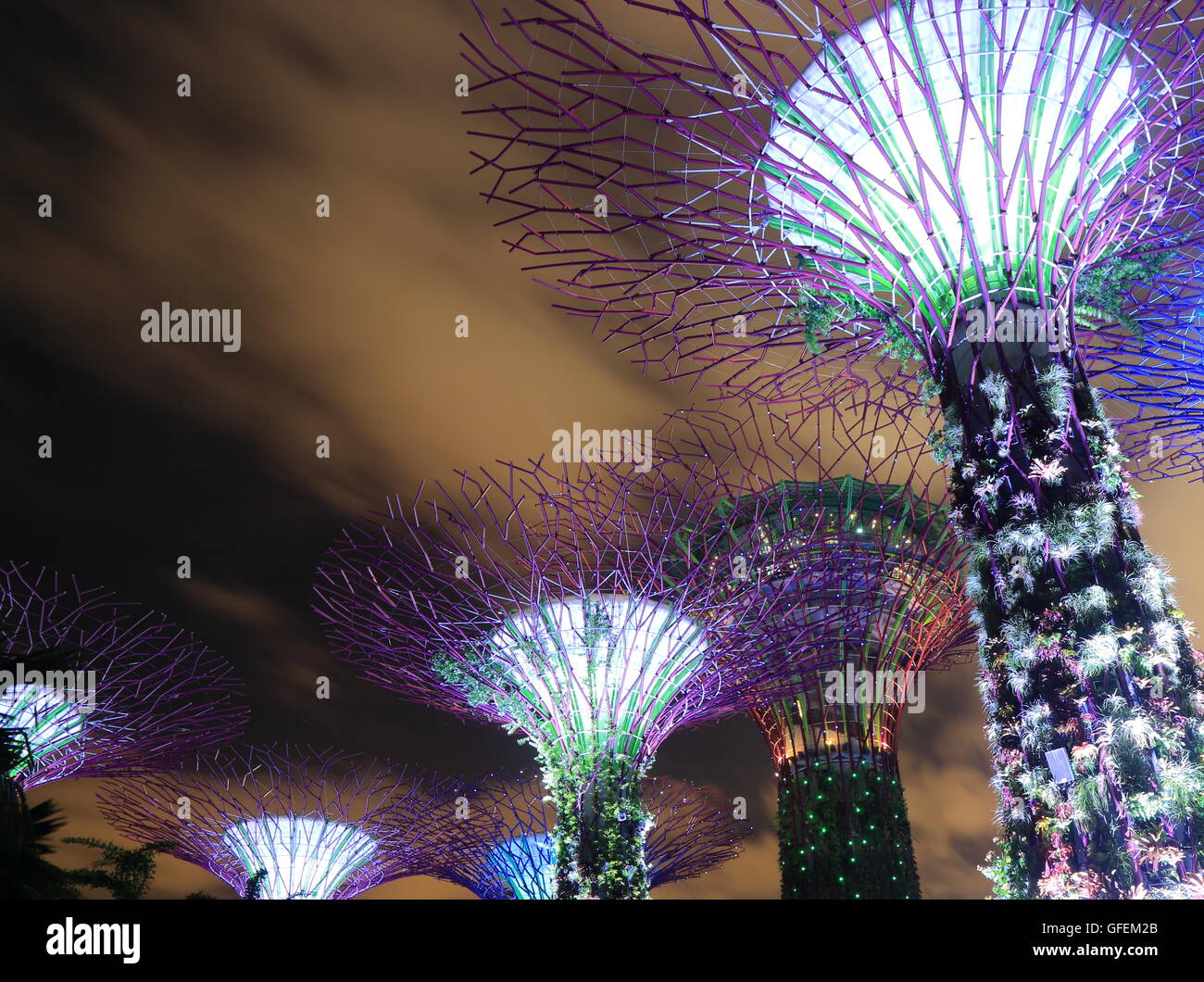 Jardines junto a la bahía Supertree Grove en Singapur. Foto de stock