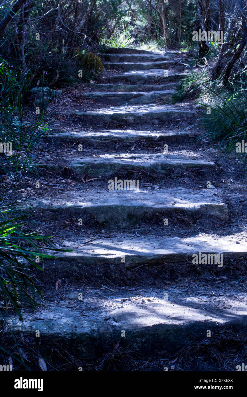 Escalera de piedra en el Royal National Park Sydney Australia Foto de stock