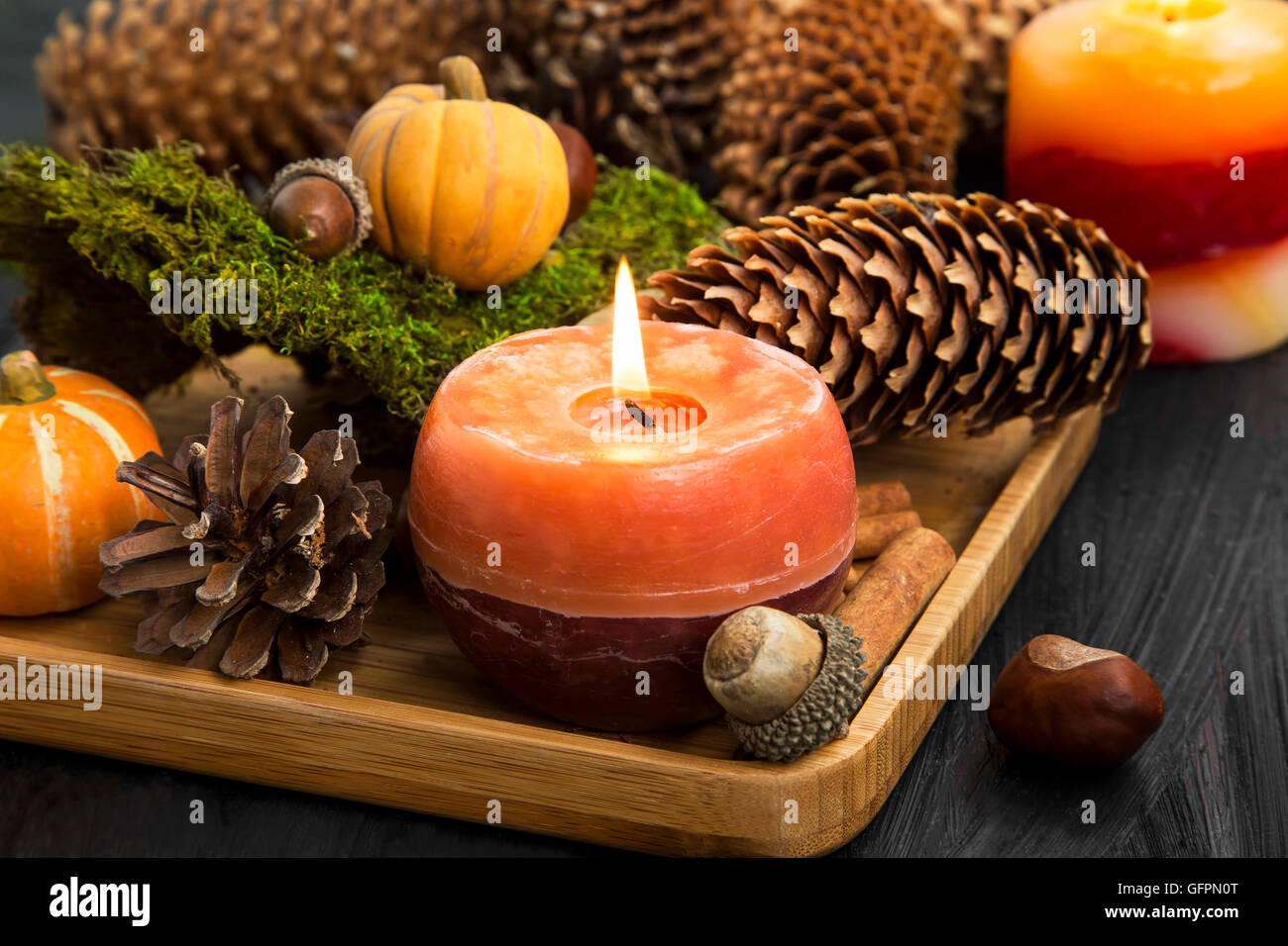 Autumn candle decoration with cones fotografías e imágenes de alta  resolución - Alamy