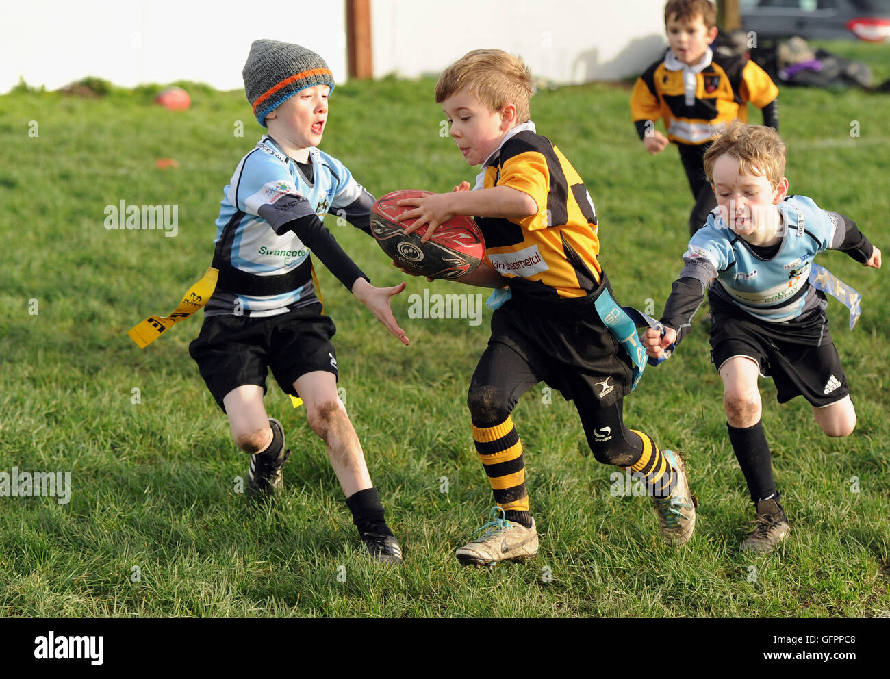 Niños junior tag rugby acción deporte niños gran bretaña reino unido Telford Hornets U7's v Bridgnorth U7's children deporte actividad saludable deportes para chicos Foto de stock