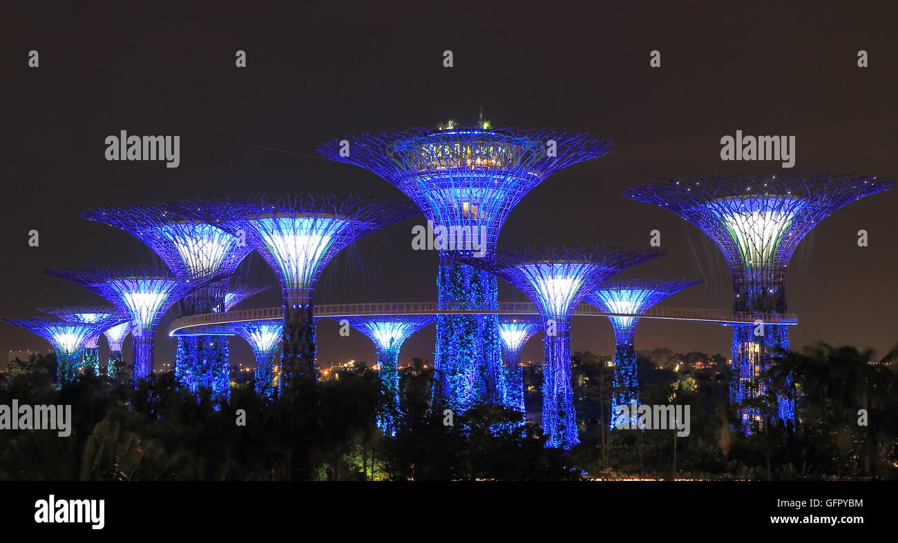 Jardines junto a la bahía Supertree Grove en Singapur. Foto de stock