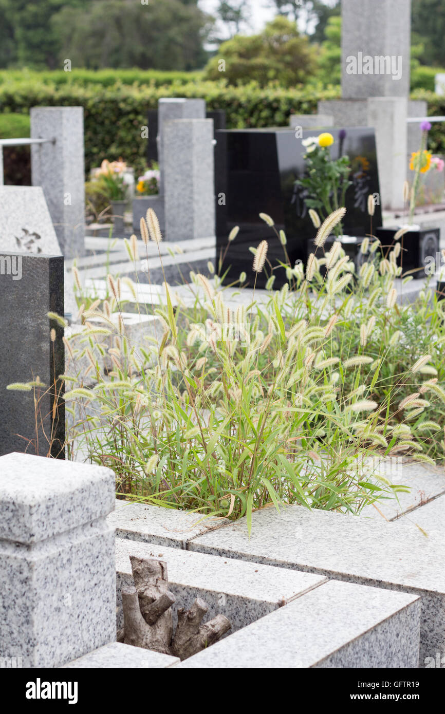 Japonés tumba abandonada llena de maleza Fotografía de stock Alamy