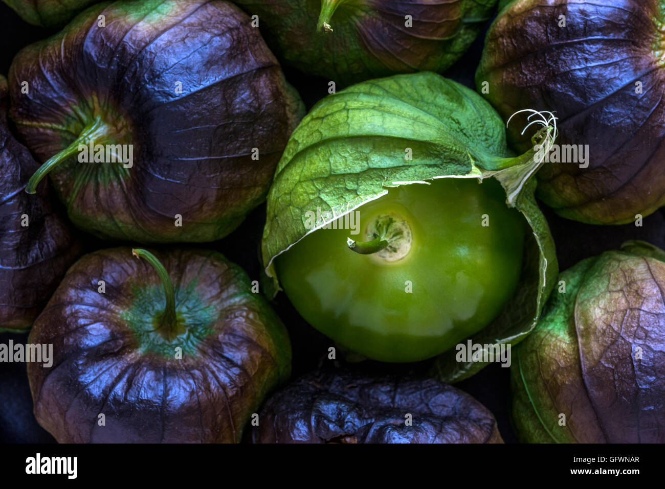 Tomatillos asados fotografías e imágenes de alta resolución Alamy