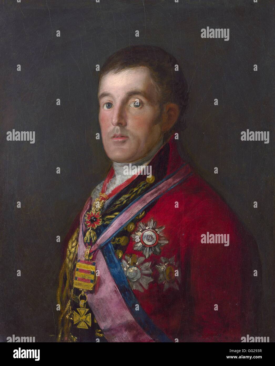 Francisco de Goya y Lucientes (1746-1828) escuela de español, el Duque de Wellington (1769-1852) El Duque de Wellington (1769-1852) 1812 Óleo sobre mahonagy (64,3 x 52,4 cm), La Galería Nacional de Londres Foto de stock