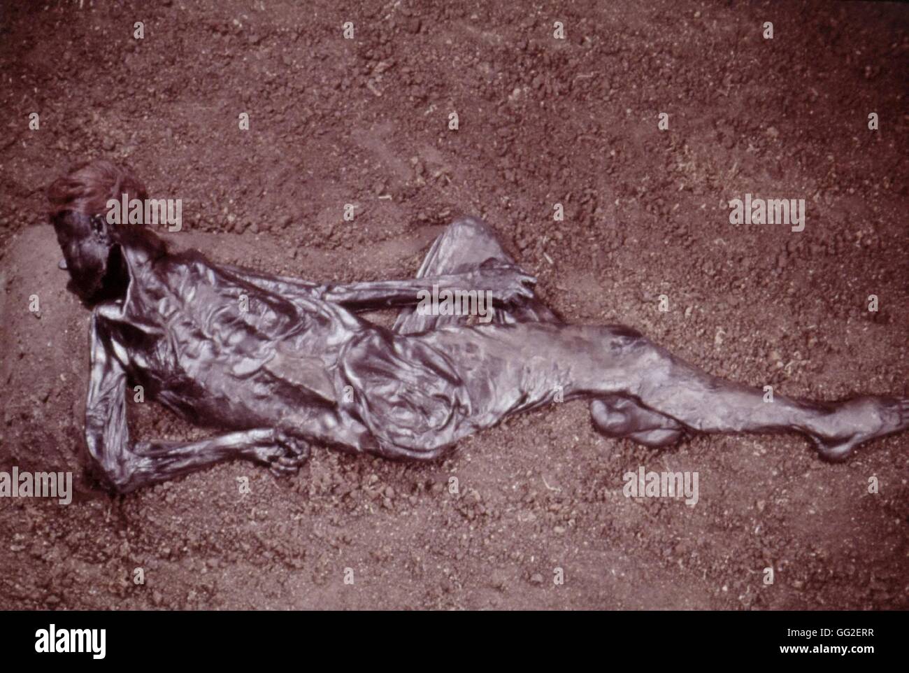 El hombre Moesgaard, 2000 años de antigüedad, encontrado intacto en las marismas. La antigüedad Dinamarca Moesgaard Museum Foto de stock