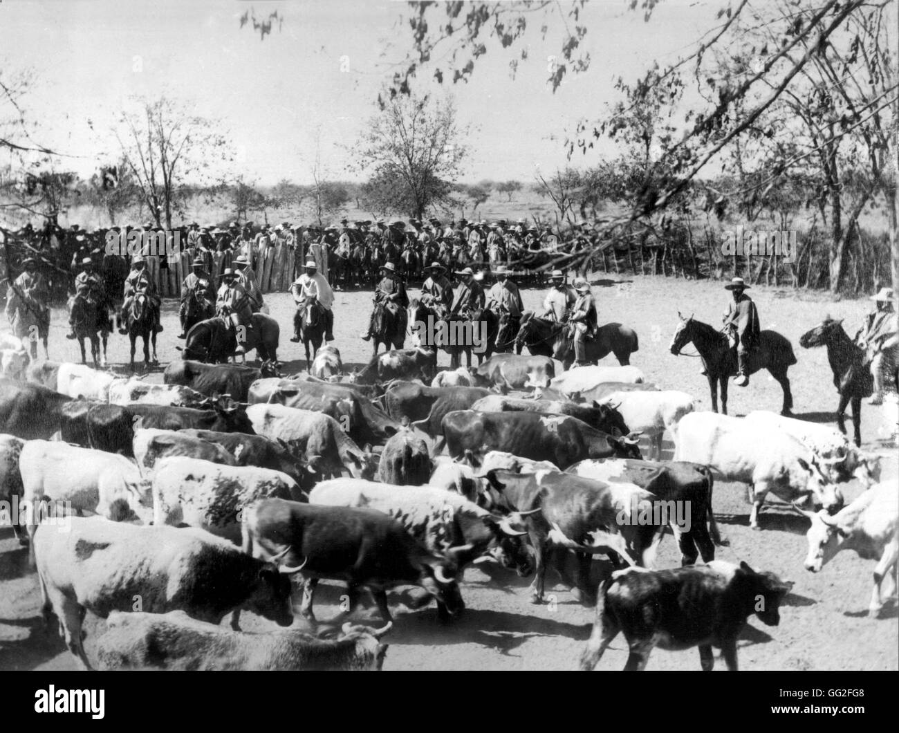 Los agricultores rodeo (listo para correr la vaca) c.1900 Chile París. Bibliothèque nationales Foto de stock