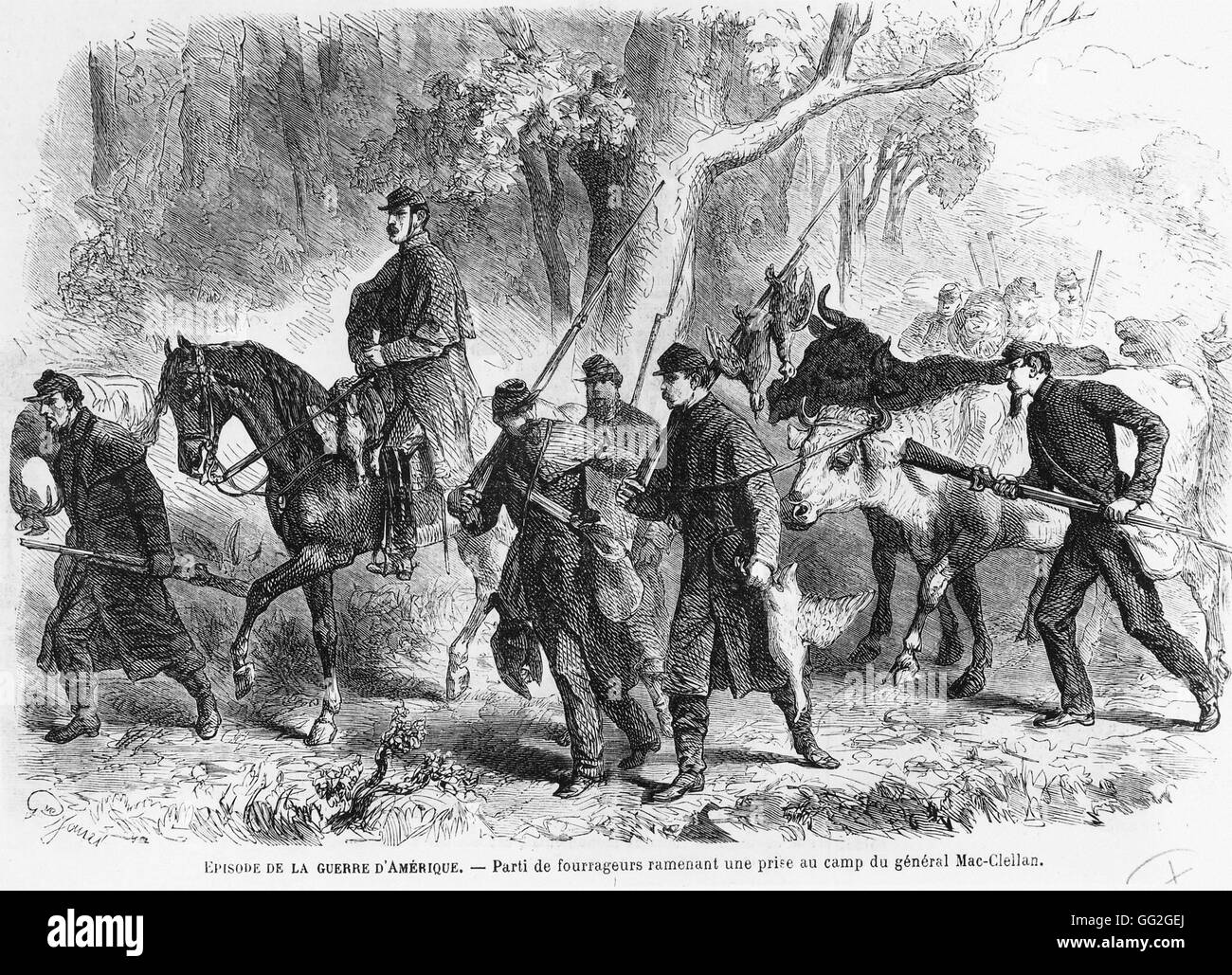 La Guerra Civil: cazadores traer sus capturas al campamento del General George Brinton McClellan (caballo). 1861-1865 grabado Foto de stock