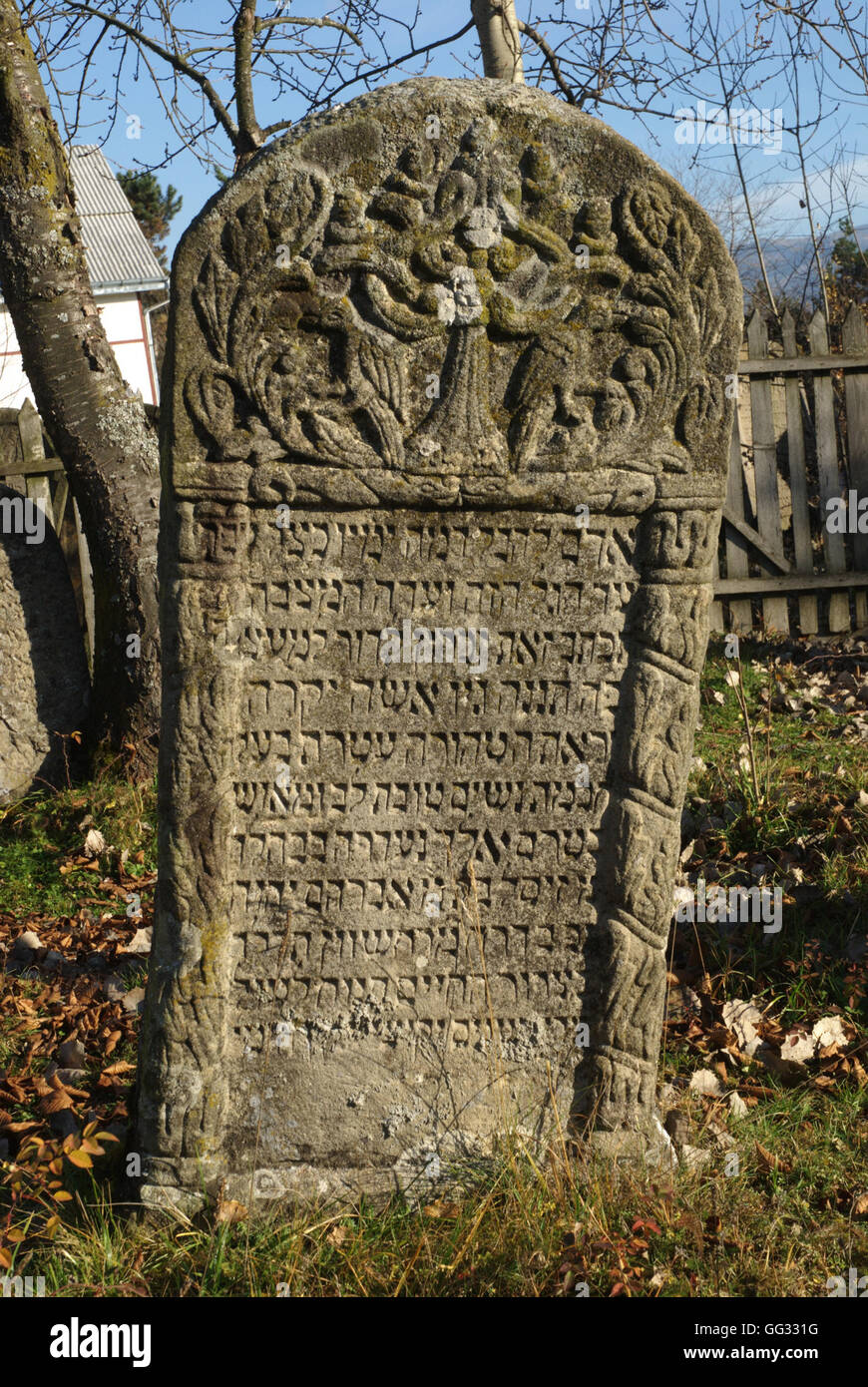 5512---Vatra Dornei, Rumania. Lápida del antiguo cementerio, fechando de 18-19º C. Foto de stock