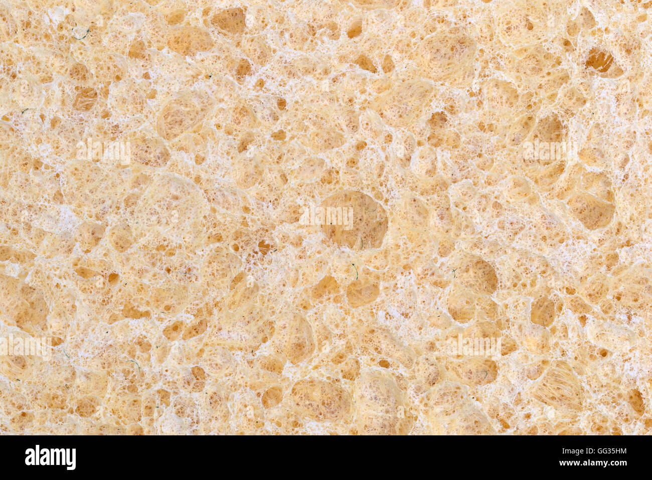 Una vista muy estrecha de una esponja de celulosa. Foto de stock
