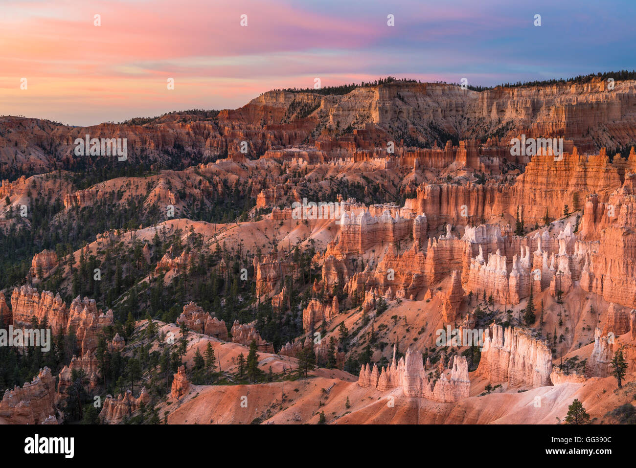 Anfiteatro, Bryce Canyon National Park, Utah, EE.UU. Foto de stock