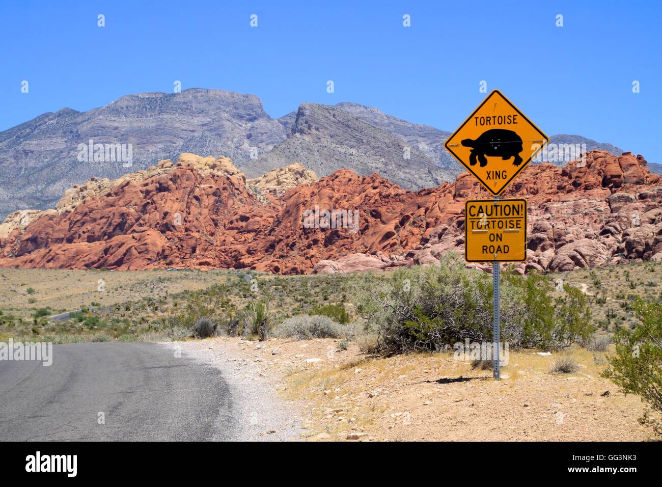 Señal de carretera leyendo 'Tortuga' cruce del desierto en la configuración. Foto de stock