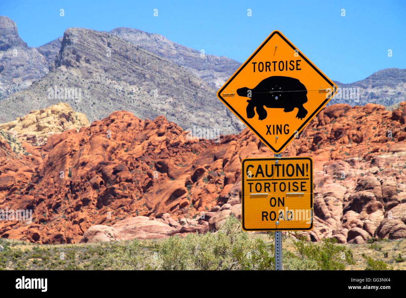 Señal de carretera leyendo 'Tortuga' cruce del desierto en la configuración. Foto de stock
