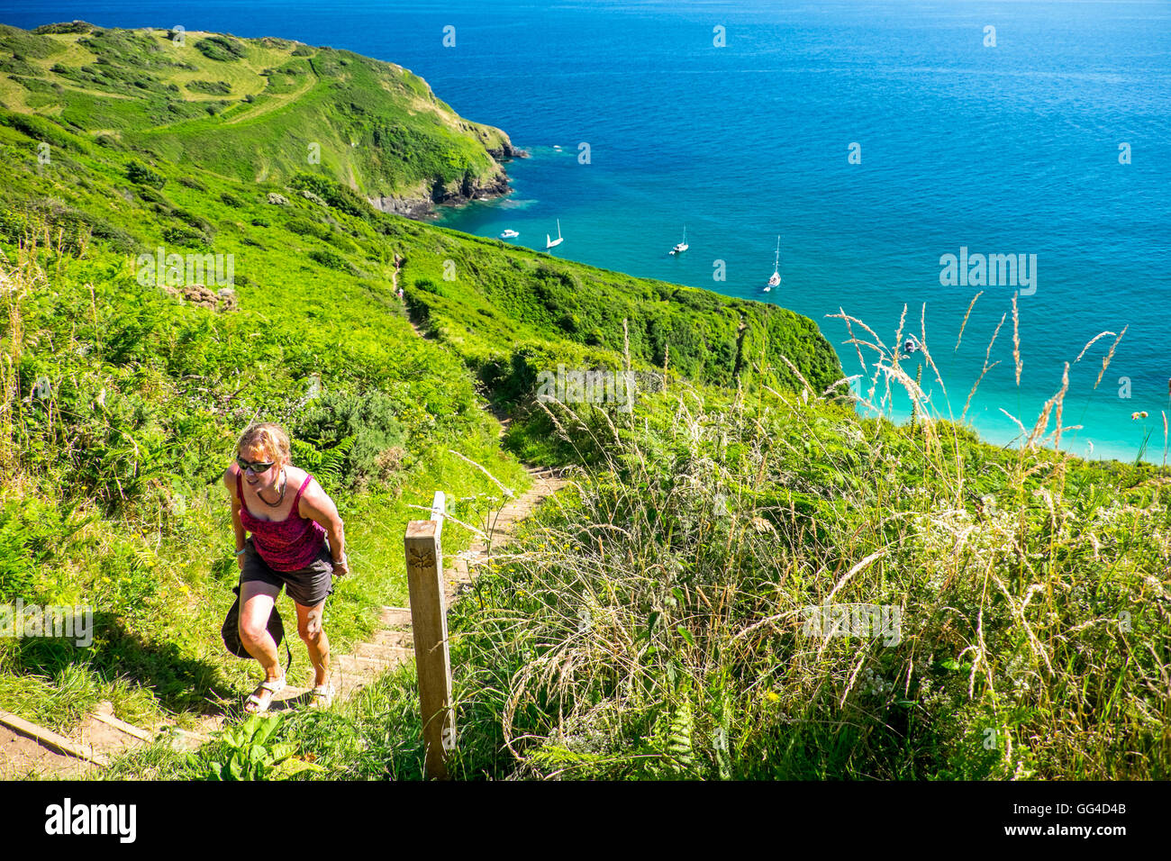 Walker femenino en la costa sur oeste de ruta Lantic Bay cerca Polruan,Cornwall Foto de stock