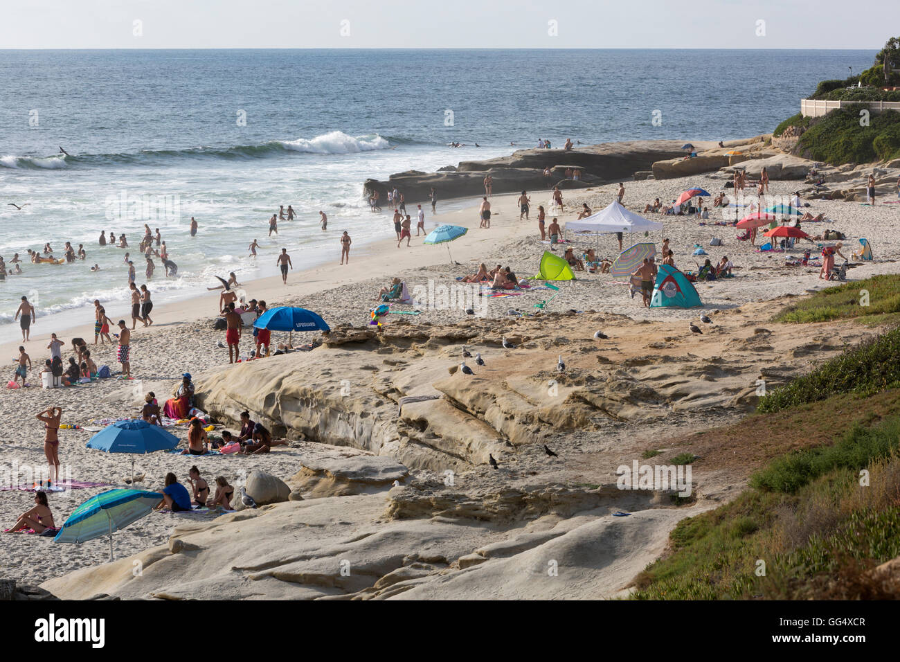 Windnsea playa en un día de verano, La Jolla, California Foto de stock