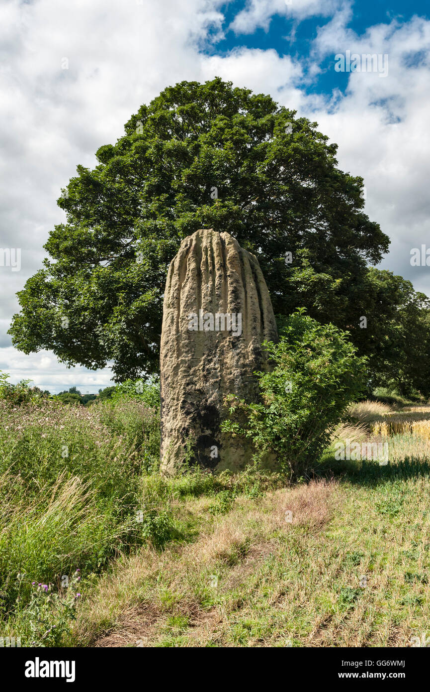 Boroughbridge, North Yorkshire, Reino Unido. Las flechas del Diablo, una alineación de 3 neolítico o piedras de la Edad de Bronce (2700 AC) Foto de stock