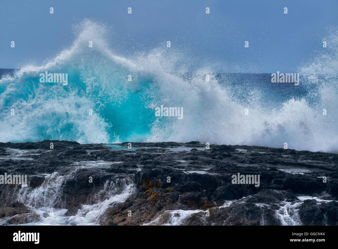 Grandes olas. La Isla de Hawaii Foto de stock