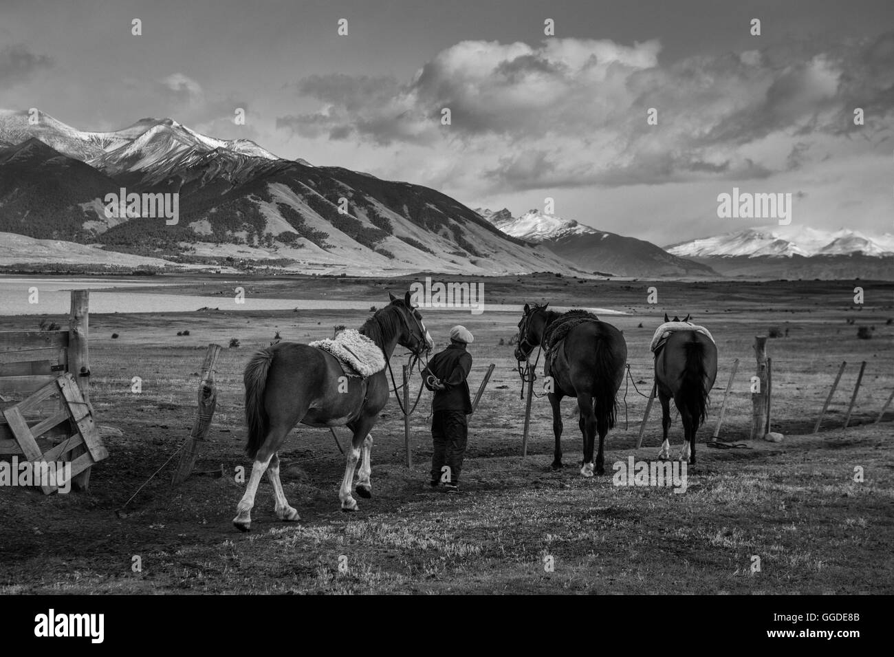 América del Sur, de la Patagonia Argentina, El Calafate, Estancia, Gaucho y caballo Foto de stock