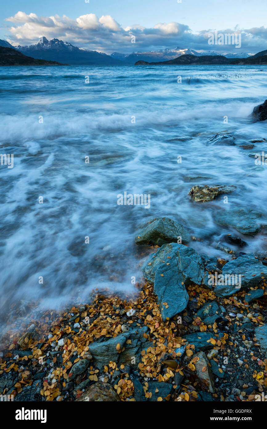 América del Sur; Tierra del Fuego; Argentina; Ushuaia; el Parque Nacional Tierra del Fuego; de entrada, mar; Foto de stock