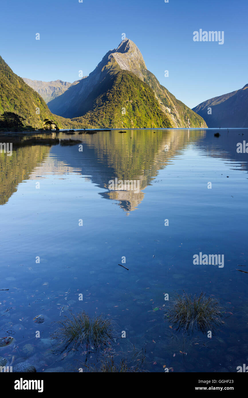 Milford Sound con reflexión, el Parque Nacional de Fiordland Southland, Isla del Sur, Nueva Zelanda Foto de stock