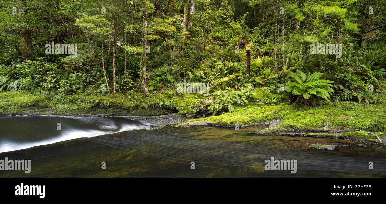 Río Catlins, Southland, Isla del Sur, Nueva Zelanda Foto de stock