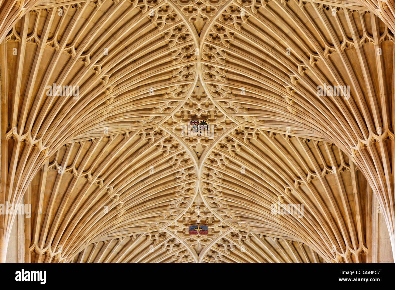 Bóveda en la Abadía de Bath, Bath, Somerset, Inglaterra, Gran Bretaña Foto de stock