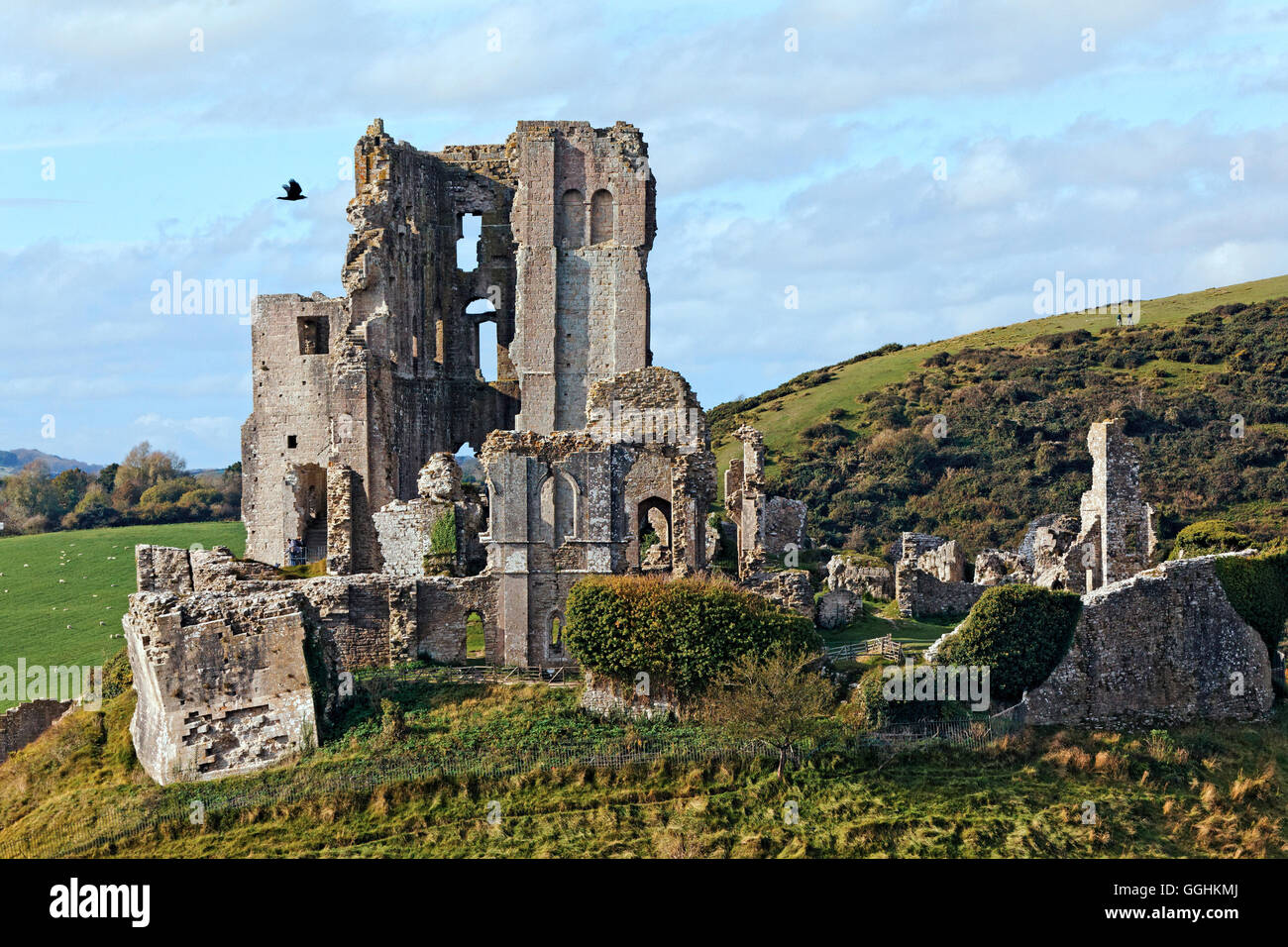 El castillo Corfe, en Dorset, Inglaterra, Gran Bretaña Foto de stock