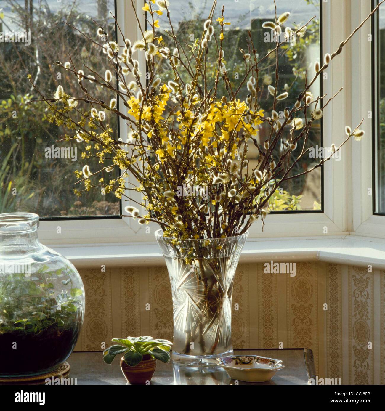 Arreglos florales - Flores "forzoso" en Invierno - (Salix Forsythia y Cornus) Lejos019516 Phot Foto de stock