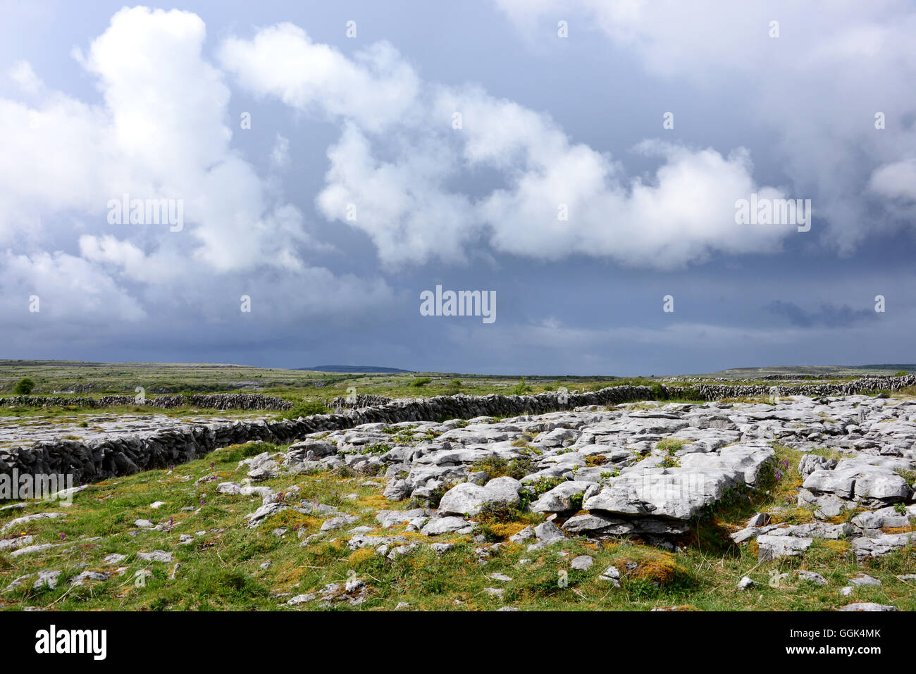 En el Burren, Clare, West Coast, Irlanda Foto de stock