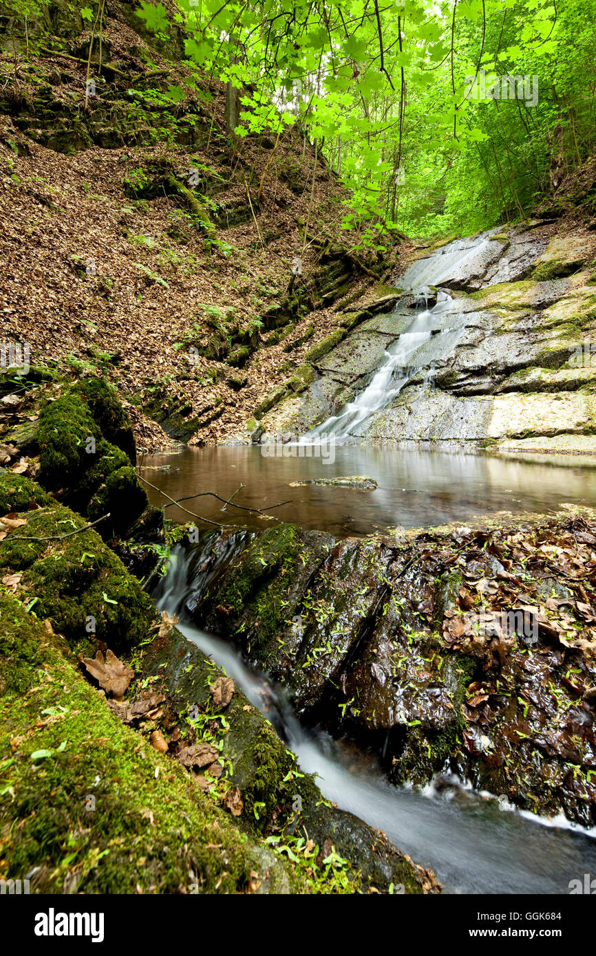 Cascada en Helenental durante la primavera, Odershausen, Bad Wildungen, Hesse, Alemania, Europa Foto de stock
