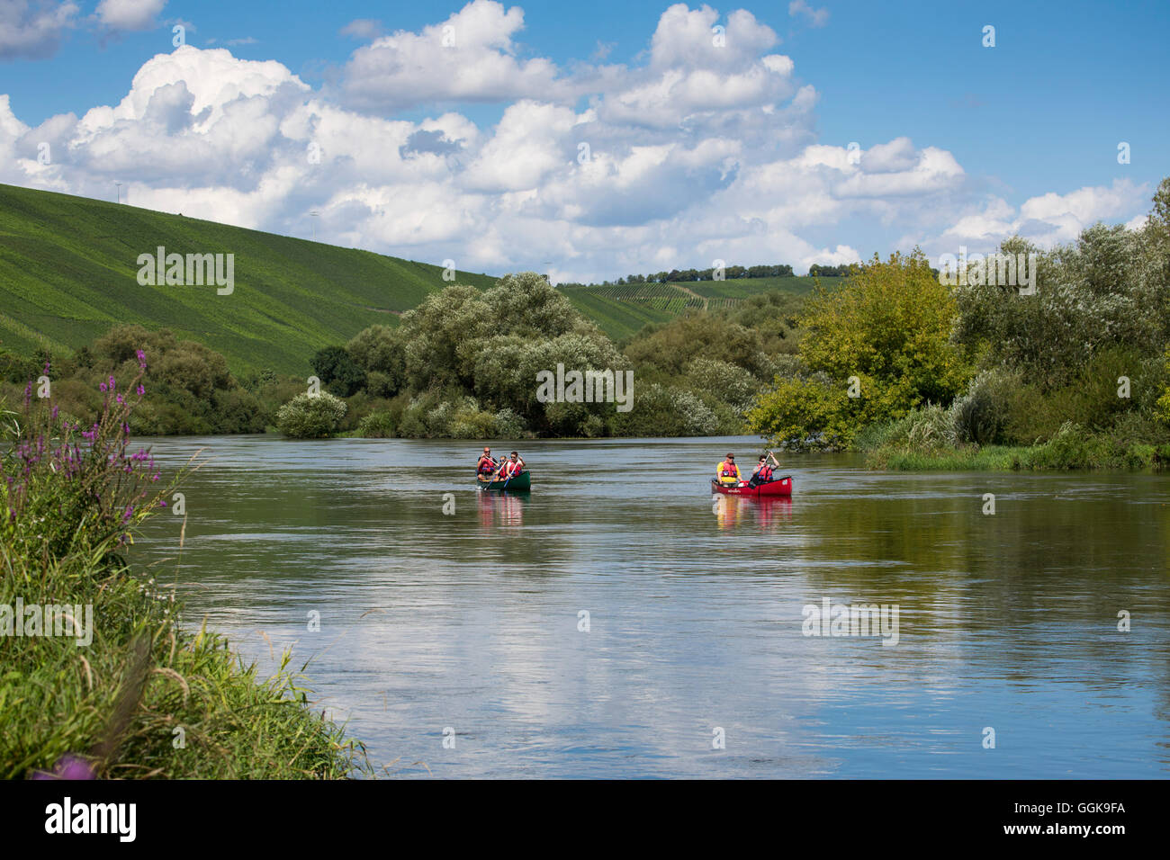 La gente disfruta de una excursión en canoa en el río principal de Mainschleife, cerca Escherndorf, Franconia, Baviera, Alemania Foto de stock