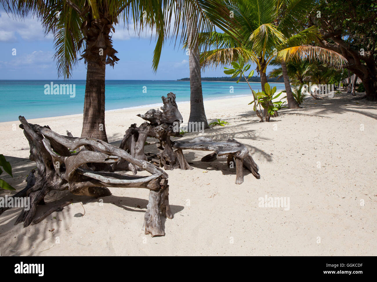 Driftwood y palmeras en la playa tropical playa en Pagudpud Saud, provincia de Ilocos Norte en la isla principal de Luzón, Philippin Foto de stock