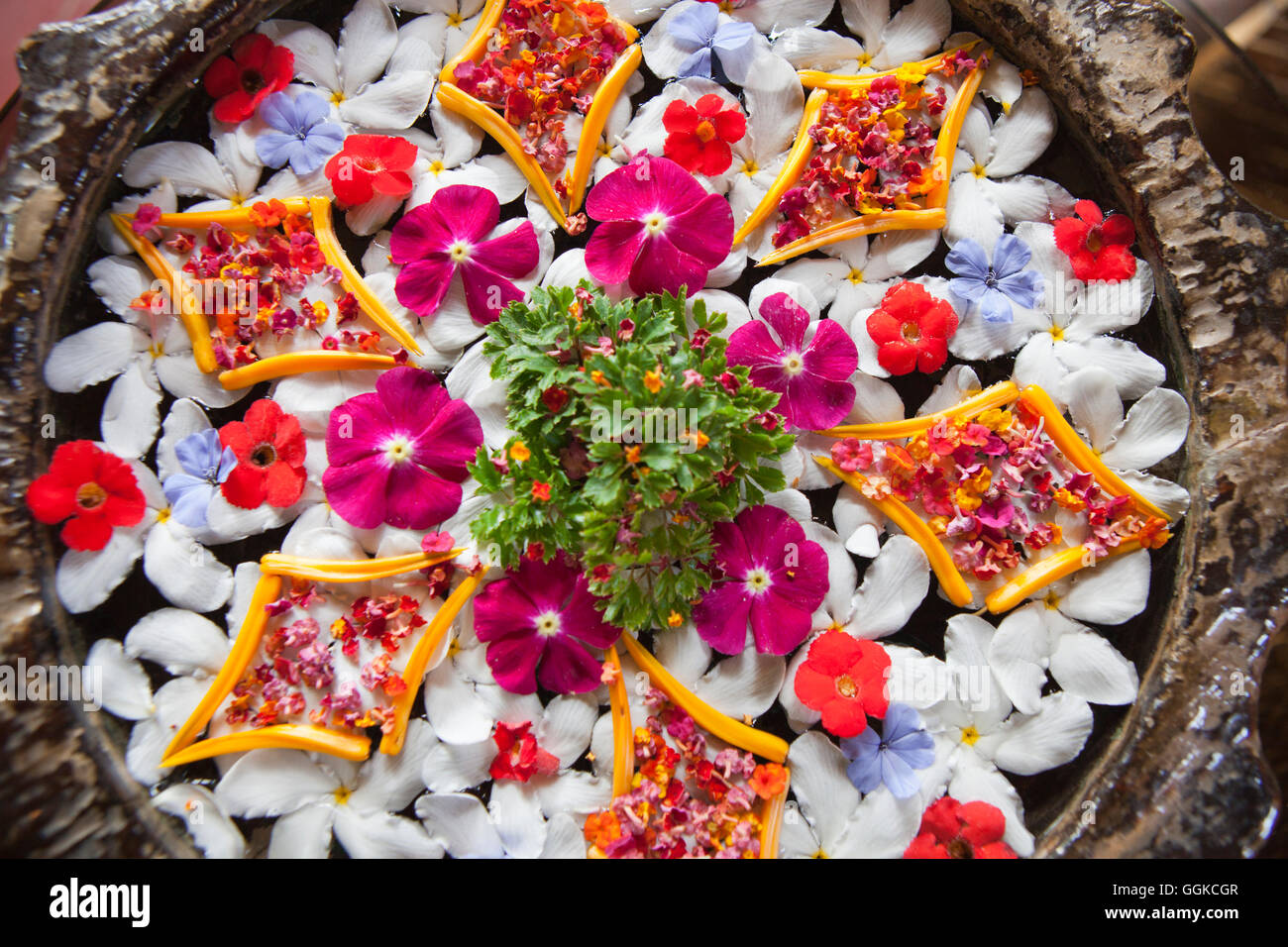 Natación blossom decoración asiática, isla de Palawan, Filipinas, Asia Foto de stock