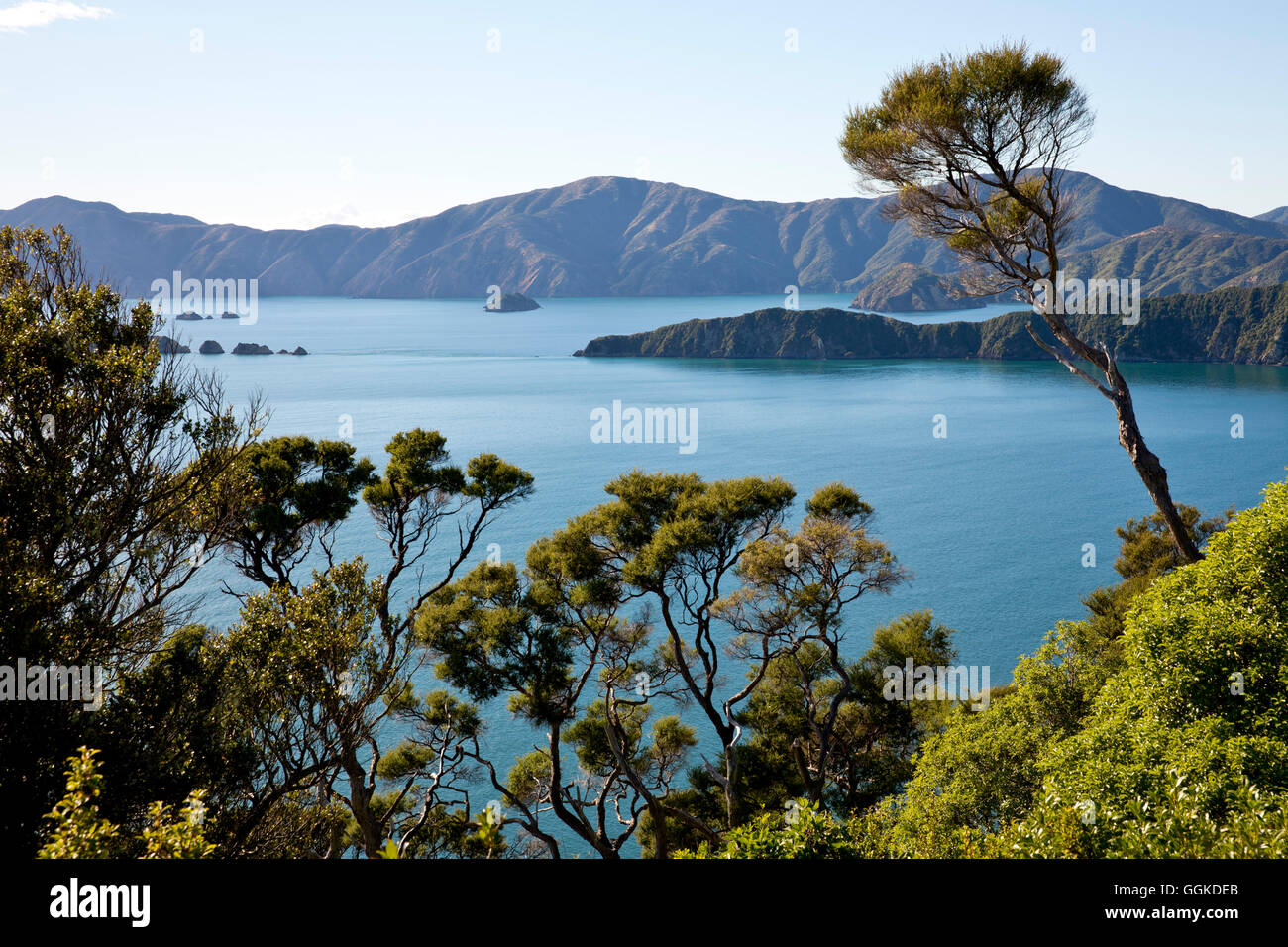 Vista desde la parte superior de Motuara Island a Long Island, la isla de Motuara, Exterior Queen Charlotte Sound, Marlborough, Isla del Sur, Nueva Foto de stock