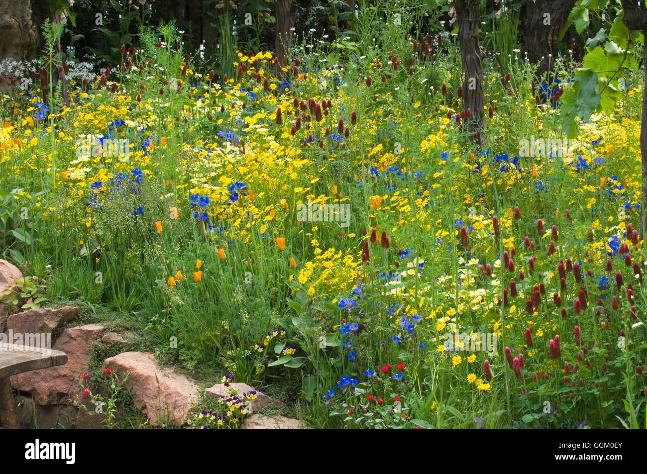 Chelsea Flower Show 2007- Medalla de Oro exposición: la sostenibilidad Fetzer Bodega Jardín por Kate Frey mostrando californiano Flo salvaje Foto de stock