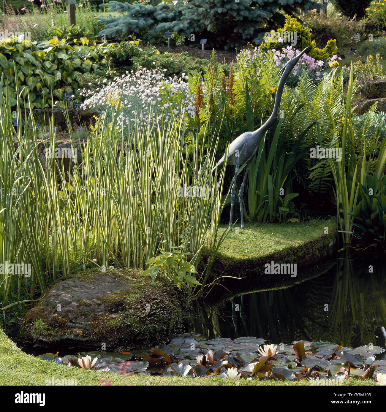 Ornamento - cigüeña en el borde del jardín de humedad ORN007208 Foto de stock